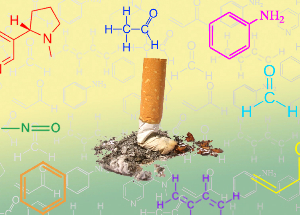 NicoZero blokeerib vastuvõtlikkust retseptoreid nikotiin